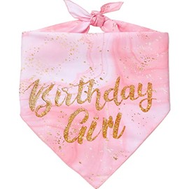 Bandana De Cumpleaños Para Perro Pequeño Y Mediano - Suministros Para Fiesta De Cumpleaños Para Amantes De Los Perros
