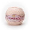 Hilaza Armonía Omega, bola de 100 gramos (Carne)