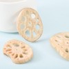 Dehydrated lotus root crisp is vegetable dried non-fried lotus root