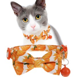Fall Cat Collar, Removable Bowtie Kitten Collar with Bell, Pumpkin Collar for Cats Small Dogs