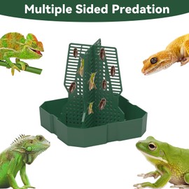 JWIZYOTR Chameleon Feeder+Bearded Dragon Feeder for Mounted Insect with Rope and Tweezers, Tank and Aquarium Accessories for Lizard, Bearded Dragon, Gecko, Frog（Medium）