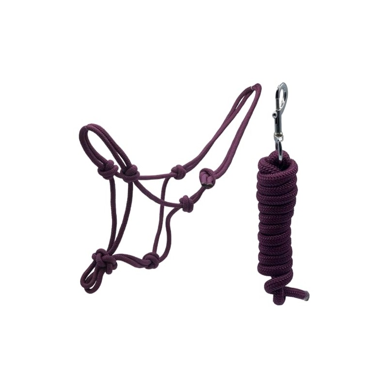 Horse Rope Halter Stiff Polyester Training Halter With Matching Lead