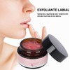 Exfoliante de Labios 20g/Botella, Exfoliante Labial, Lápiz Labial Nutritivo, Quitar