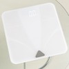 Smart ITO InBody Scale BF20 Measures body composition in 15