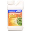 Lawn & Garden Products LG 5588 LG5588 Monterey Spurge Power