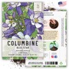 Seed Needs, Blue Star Columbine Seeds - 2,500 Heirloom Seeds