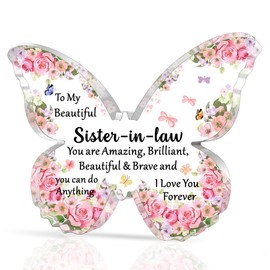 SDOFY Sister in Law Gifts Sister in Law Birthday Gifts Christmas Gifts Beautiful Butterfly Shaped Acrylic Gifts for Sister in Law You Can Do Anything
