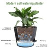Meowell 12 inch Large Self Watering Pots, Plant Pots with