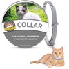 Surglam Cat Collars, Adjustable Collars for Cats, Water-Resistant for Kittens,