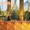 Cluster Lights Christmas - 50FT 1000LED Twinkle Lights Christmas Tree