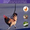 6 Pcs Adjustable Chicken Harness with Leash and Chicken Hats