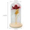 Rose in Glass Dome Lucky Beautiful Symbolism Romantic Enchanted Rose
