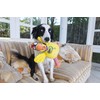 FAT CAT Dog Toys - Barnyard Bullies Plush Dog Toy