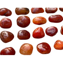 GAF TREASURES Wholesale Carnelian Pebble, Large Carnelian Tumbled Stone, Natural Polished Carnelian Crystals, Carnelian Palm Stone, Carnelian Healing Crystals (Carnelian, 1 Pound)