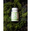 Perogochim TF343 Combined Ingredient Quercetin, 30 Tablets, 1 Pack