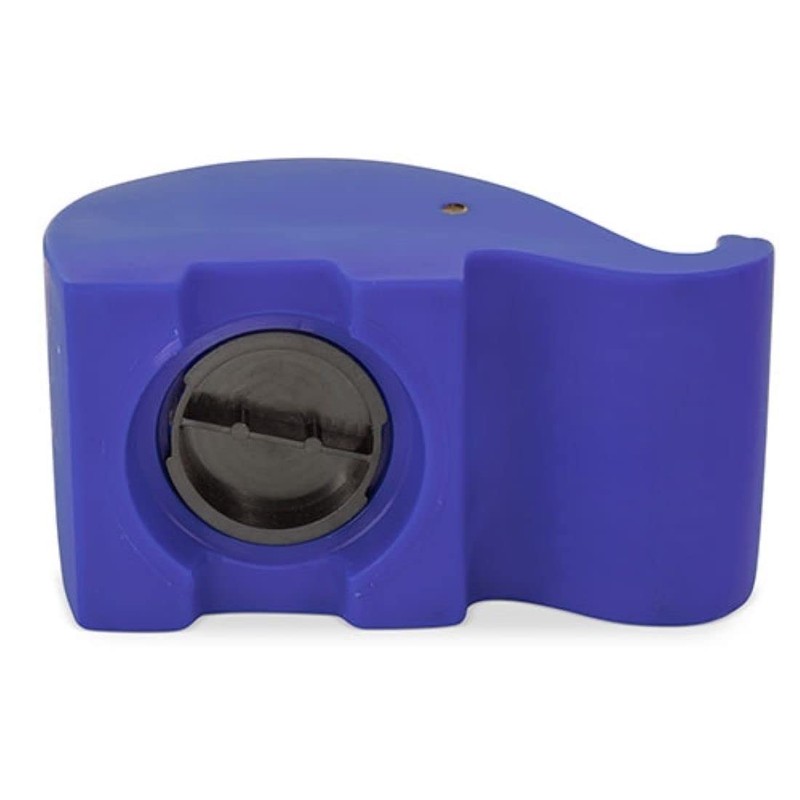 PVC Pork Money Box with Soft Body in Vibrant Colours,