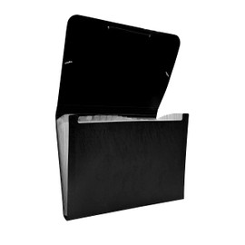 Raylu Paper® - 12 Pocket Accordion Opaque Plastic Folder with Dividers for Office (Black)