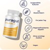 puragut Balance - Cultural Complex for Every Day - With