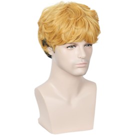 Linfairy Curly Wig, Heat Resistant Wig, Wig, Costume, Disguise Wig, Dedicated Net