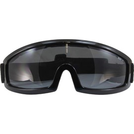 Birdz Robin Sport Skydiving Snowboarding Motorcycle Riding Goggles (Smoke)