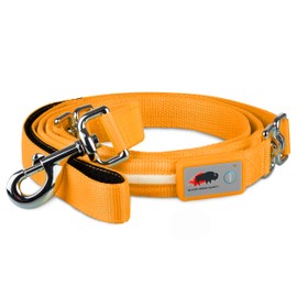BLAZIN Light Up Dog Leash LED Dog Leash - 1,000 Feet of Visibility - USB Rechargeable Waterproof Glow in The Dark Dog Leash - 6 Foot, Orange