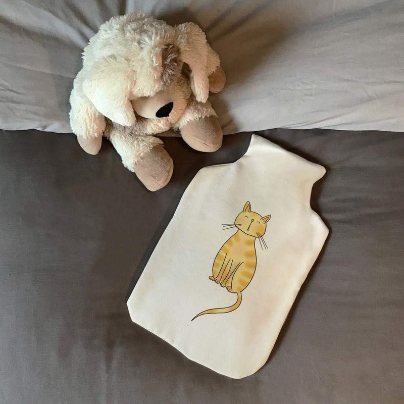 'Ginger Cat' Hot Water Bottle Cover (HW00029809)
