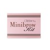 Beauty Creations Minibrow Kit NEW