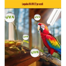 KINGYEENUO E27 Lampadina UVA UVB per Uccelli 2.4 UVB 20W Lampadina Fluorescente Compatta per Tutti i Tipi di Uccelli Cattivi, Luce Solare Naturale Simulazione Uccello Lampadina Pappagallo