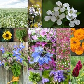 Eden Brothers Bee Happy Organic Wildflower Mixed Seeds for Planting, 1 oz, 30,000+ Seeds with Cosmos, Crimson Clover | Attracts Pollinators, Plant in Spring or Fall, Zones 3, 4, 5, 6, 7, 8, 9, 10