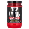 BSN AminoX EAAs Muscle Support Recovery Watermelon Smash 13.2 oz (375g), 1 piece, 375g, 375g / BSN AminoX EAAs 머슬 써포트 리커버리 수박 스매시 13.2 oz (375g), 1개, 375g, 375g