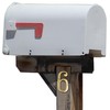 6-inch House Number 6 (Six) with Mounting Screws, Polished Brass,