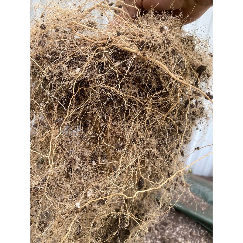 Rain Science Grow Bag, Air Pruning Mesh Fabric Plant Container