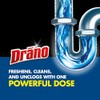 Drano Drano Dual-Force Foamer Clog Remover, 17 oz (Pack of