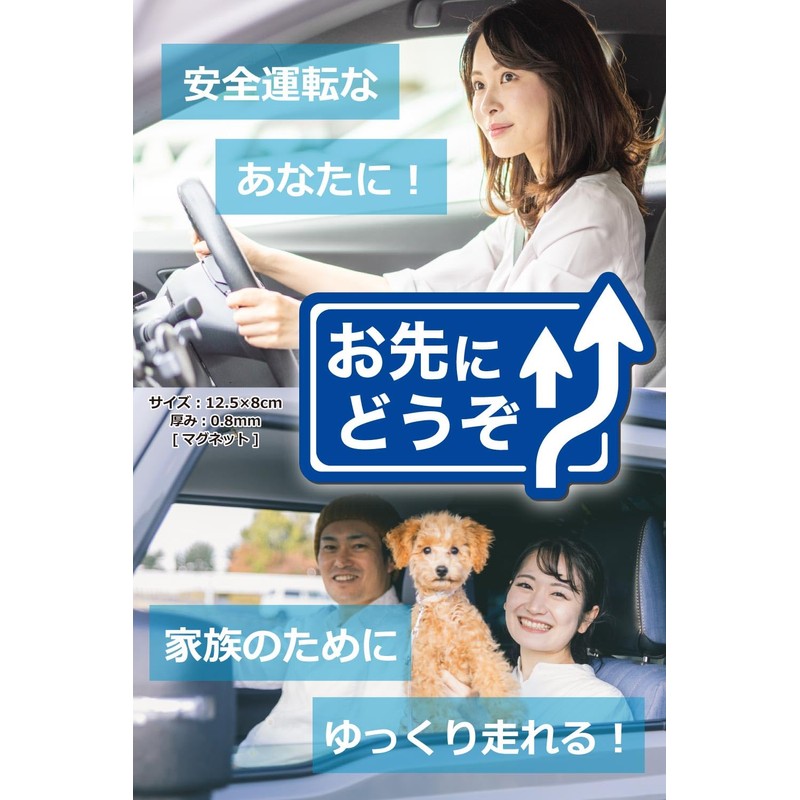 MKE Go Ahead Magnet Sign Design Safe Driving Car Sticker