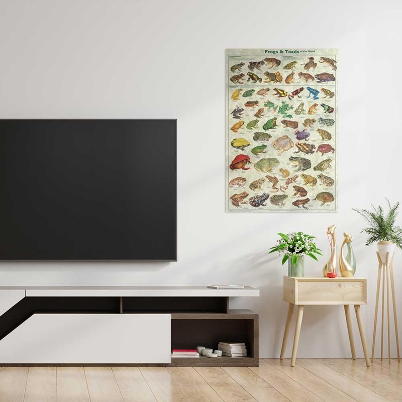 Frogs & Toads of the World Educational Poster 24 x