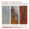 winblot Rust Conversion Agent 300g, Multi-Functional Anti-Rust Paint, Water-Based Metallic