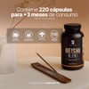 Extracto Puro Hongo Reishi 220 Cápsulas Adaptógeno Natural 900 Por