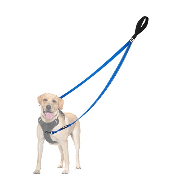 PetBonus Two Point Control Dog Leash, Works with No Pull