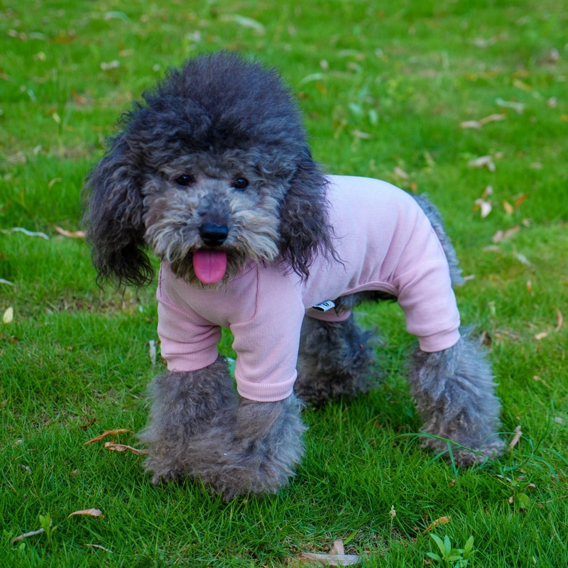 Lovelonglong Ribbed Dog Pajamas Cotton Knitted Dog Jumpsuits 4 Legged