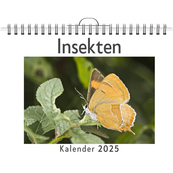 Insekten - (Wandkalender 2025, Kalender DIN A4 quer, Monatskalender im