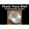 ABCGEMS Flashy Pacific-Ocean Troca Shell Inlaid Kamagong Ebony Wood Beads