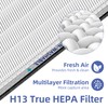 Pulluty MSA3/MSA3S HEPA Replacement Filter for Membrane Solutions MSA3 and