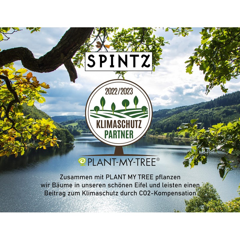 SPINTZ Organic Turmeric Barley Grass Capsules - High Dose Tablets