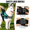 Service Dog Vest Harness + 50 ADA Information Cards +