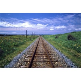 204 Piece Jigsaw Puzzle, Petite, Four Seasons Poetry, Haruka Railway, Small Piece 3.9 x 5.8 inches (10 x 14.7 cm)