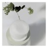 Pads Coreanos Exfoliantes-celimax 125ml Regalito Sorpresa Normal Noche