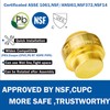 WHK 12 PACK 1/2" PEX Plug End CAP,Copper Cap 1/2"