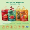 Crispy Fruit Favorite Flavors Freeze Dried Fruit Variety Pack (16