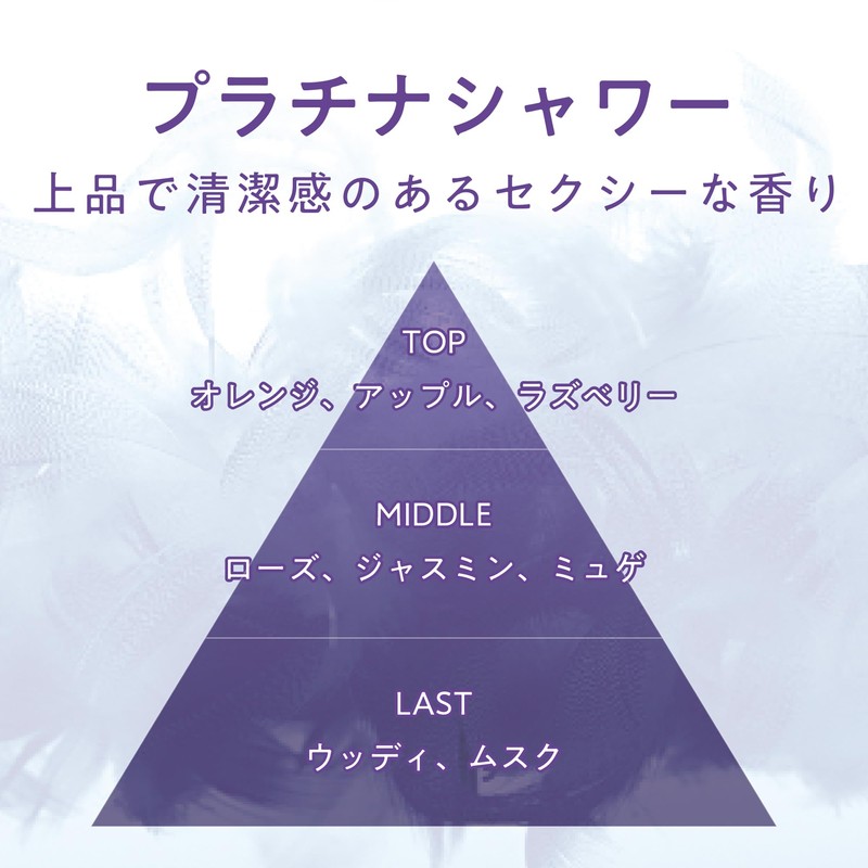 晴香堂(HARUKADO) カーオール 車用 芳香剤 ブラック ギャレット プラチナシャワー 20g 1848