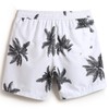 MaaMgic Mens Short Swim Trunks Quick Dry Swimming Shorts Print